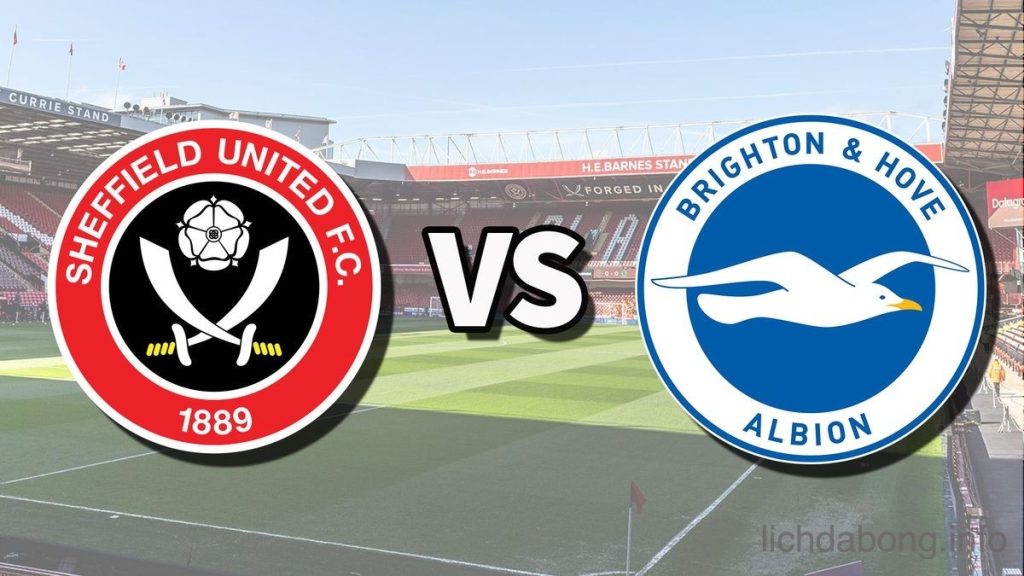 Sheffield vs Brighton